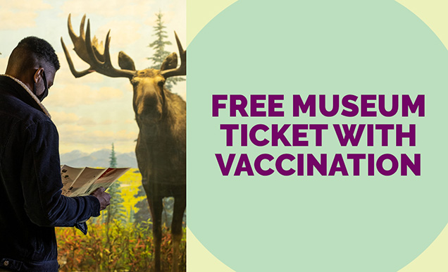 Free museum ticket with vaccination